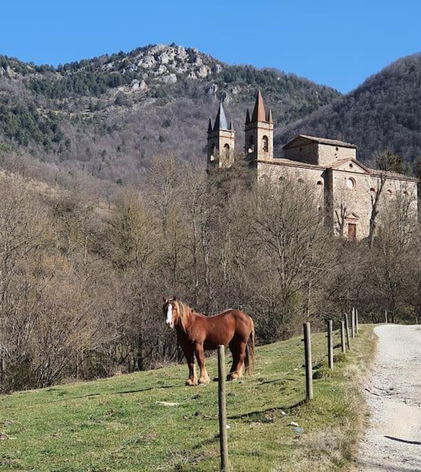 El Mussol De La Vila Camprodon, Balconets Amb Vistes A La Placa Bagian luar foto